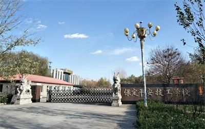 去哪個(gè)學(xué)校上升學(xué)班比較好？   
