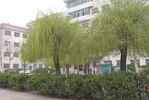學(xué)習(xí)高鐵乘務(wù)專業(yè)怎么樣？   