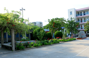 xyhj10