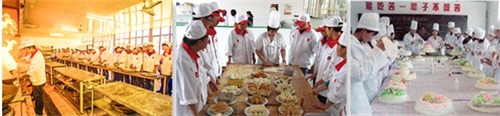 廚師需要學(xué)習(xí)烹飪多少道菜？