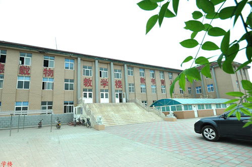 滄州國興職業(yè)技術(shù)學(xué)校開設(shè)了哪些專業(yè)？