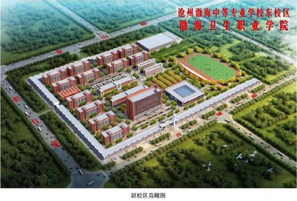 滄州學幼師為什么選擇滄州渤海專修學院？