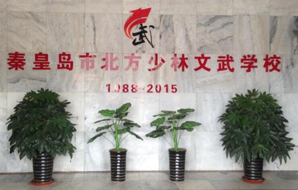 秦皇島北方少林文武學(xué)校就業(yè)如何？這答案你放心！