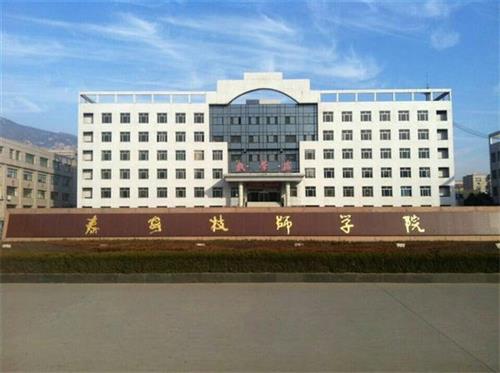 泰安技師學(xué)院畢業(yè)生就業(yè)單位有哪些？