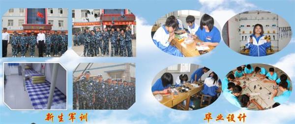 青島海信中心聯(lián)校收費(fèi)標(biāo)準(zhǔn)是什么？