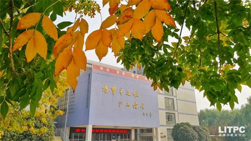 洛陽學(xué)電子商務(wù)去哪里？學(xué)電子商務(wù)去洛陽哪所學(xué)校？
