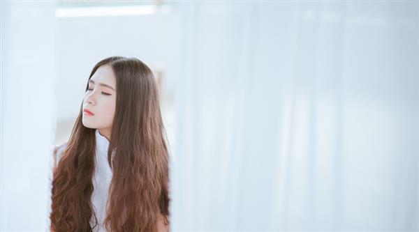 石家莊東方學(xué)院都開設(shè)了哪些專業(yè)？