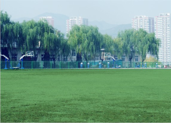 青島滿天星職業(yè)培訓(xùn)學(xué)校怎么樣？