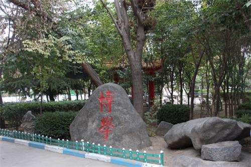  山東人民專修學(xué)院怎樣安排學(xué)生就業(yè)？