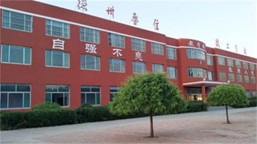 山東德州魯信通懋職業(yè)技工學(xué)校就業(yè)情況怎么樣？