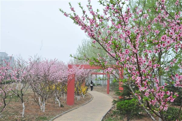 山東凱文科技職業(yè)學院都有哪些優(yōu)點？