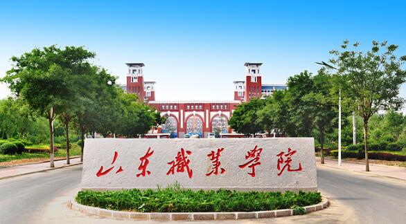 山東職業(yè)學(xué)院有哪些教學(xué)成果？