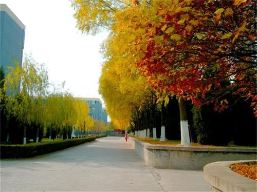 北京現(xiàn)代體育學(xué)院、航空乘務(wù)學(xué)院設(shè)施好嗎？
