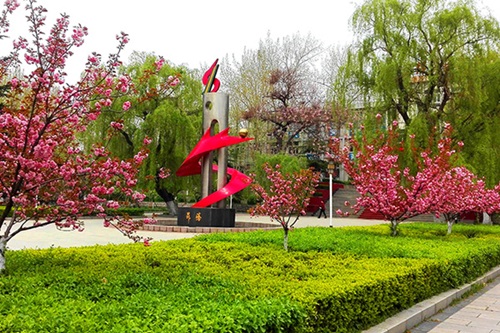 選擇齊魯技術(shù)學(xué)院學(xué)幼師怎么樣？