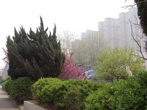 煙臺(tái)天虹學(xué)院怎么樣？